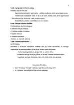 Konspekts 'Personāla darba novērtēšanas sistēmas izveide. Individuālā motivācija', 4.