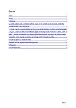 Referāts 'Sociālais darbs ar grupu', 2.