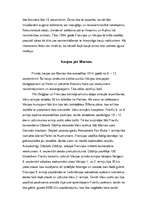 Referāts 'Pirmais pasaules karš', 2.