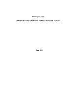 Referāts 'Produkta adaptācija starptautiskajā tirgū', 1.