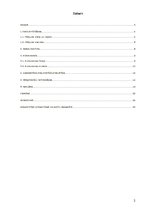 Referāts 'Produkta adaptācija starptautiskajā tirgū', 2.