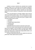 Referāts 'Produkta adaptācija starptautiskajā tirgū', 3.