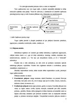 Referāts 'Produkta adaptācija starptautiskajā tirgū', 6.