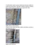 Konspekts 'Būvju aizsardzība', 5.