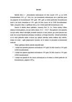 Referāts 'Kriminālsodu salīdzinājums LR Sodu likumā un LPSR Kriminālkodeksā ', 3.