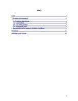 Referāts 'Nesekmība vispārējās vidējās izglītības iestādēs', 2.