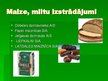 Prezentācija 'Pārtikas rūpniecība', 6.