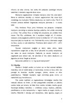 Referāts 'Flīžu līmes', 8.