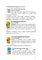 Referāts 'Flīžu līmes', 12.