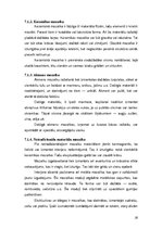 Referāts 'Flīžu līmes', 16.