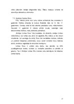 Referāts 'Flīžu līmes', 17.