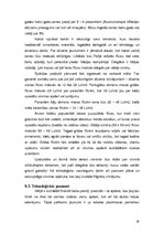 Referāts 'Flīžu līmes', 19.