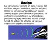 Prezentācija 'Vaļu kārta', 5.