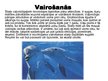 Prezentācija 'Vaļu kārta', 9.