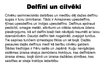 Prezentācija 'Vaļu kārta', 14.