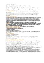 Konspekts 'Mārketings', 11.