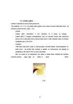 Referāts 'Skolēnu zināšanas par kontracepcijas veidiem', 14.
