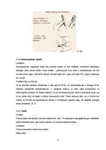 Referāts 'Skolēnu zināšanas par kontracepcijas veidiem', 18.