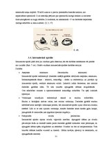 Referāts 'Skolēnu zināšanas par kontracepcijas veidiem', 21.