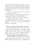 Biznesa plāns 'Biznesa plāns apsardzes firmai "Tiger"', 9.