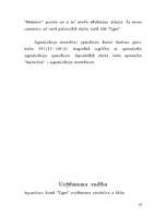 Biznesa plāns 'Biznesa plāns apsardzes firmai "Tiger"', 13.