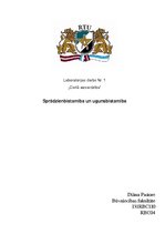 Paraugs 'Sprādzienbīstamība un ugunsbīstamība', 1.