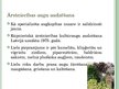 Prezentācija 'Inovācijas laukos - netradicionālā lauksaimniecība', 19.