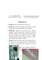 Konspekts 'Odontogēnas un neodontogēnas žokļu cistas', 8.