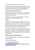 Konspekts 'Pakalpojumu starptautiskā tirdzniecība', 6.