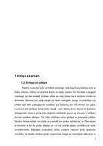 Referāts 'Sniegs', 3.