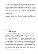 Referāts 'Sniegs', 4.