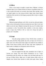 Referāts 'Sniegs', 5.