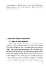 Referāts 'Sniegs', 6.