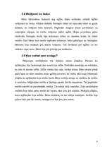 Referāts 'Sniegs', 9.