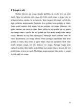 Referāts 'Sniegs', 10.