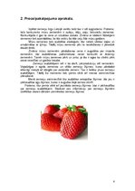 Biznesa plāns 'Biznesa plāns', 6.