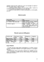 Biznesa plāns 'Biznesa plāns', 18.