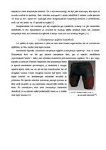 Referāts 'Sporta kompresijas apģērbs un tā popularitāte Latvijas sportistu vidū', 11.