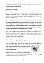 Referāts 'Ebola vīruss', 2.