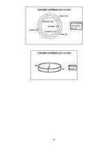 Referāts 'Zodiaka zīmes raksturojuma atbilstība esoša cilvēka raksturam', 43.