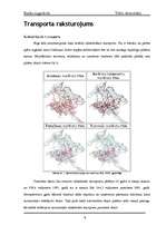 Referāts 'Vide un transports Rīgā', 9.