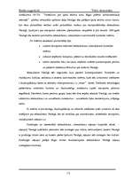 Referāts 'Vide un transports Rīgā', 13.