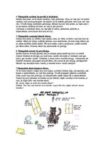 Konspekts 'Pedagoģija', 3.