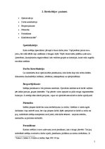 Referāts 'Birokrātijas jēdziens un izpratne', 5.