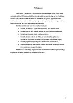 Referāts 'Birokrātijas jēdziens un izpratne', 11.