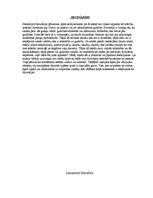 Eseja 'Kas ir filosofija', 7.