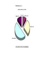 Referāts 'Ienākumu diferenciācija', 6.