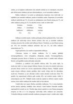 Referāts 'Ienākumu diferenciācija', 47.