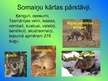 Prezentācija 'Somaiņi', 3.