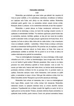 Eseja 'Matemātika mūsdienās', 1.